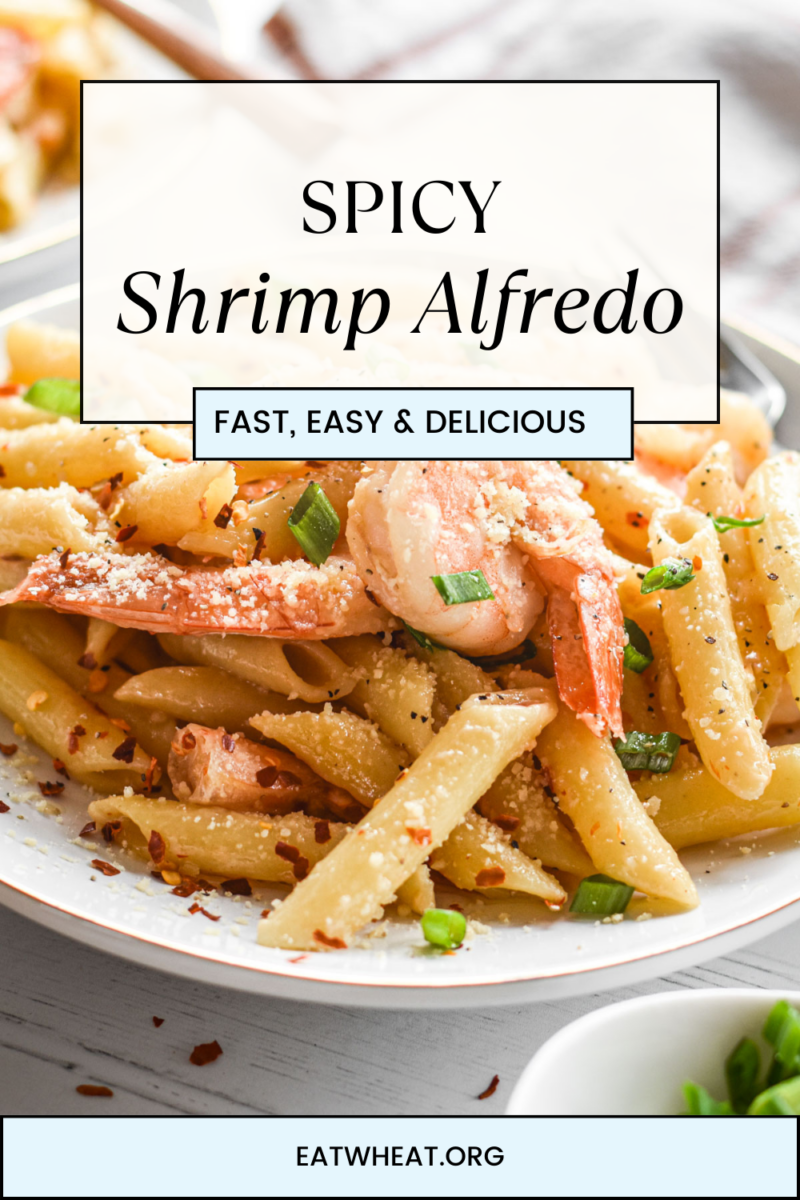 Image: Spicy Shrimp Alfredo.