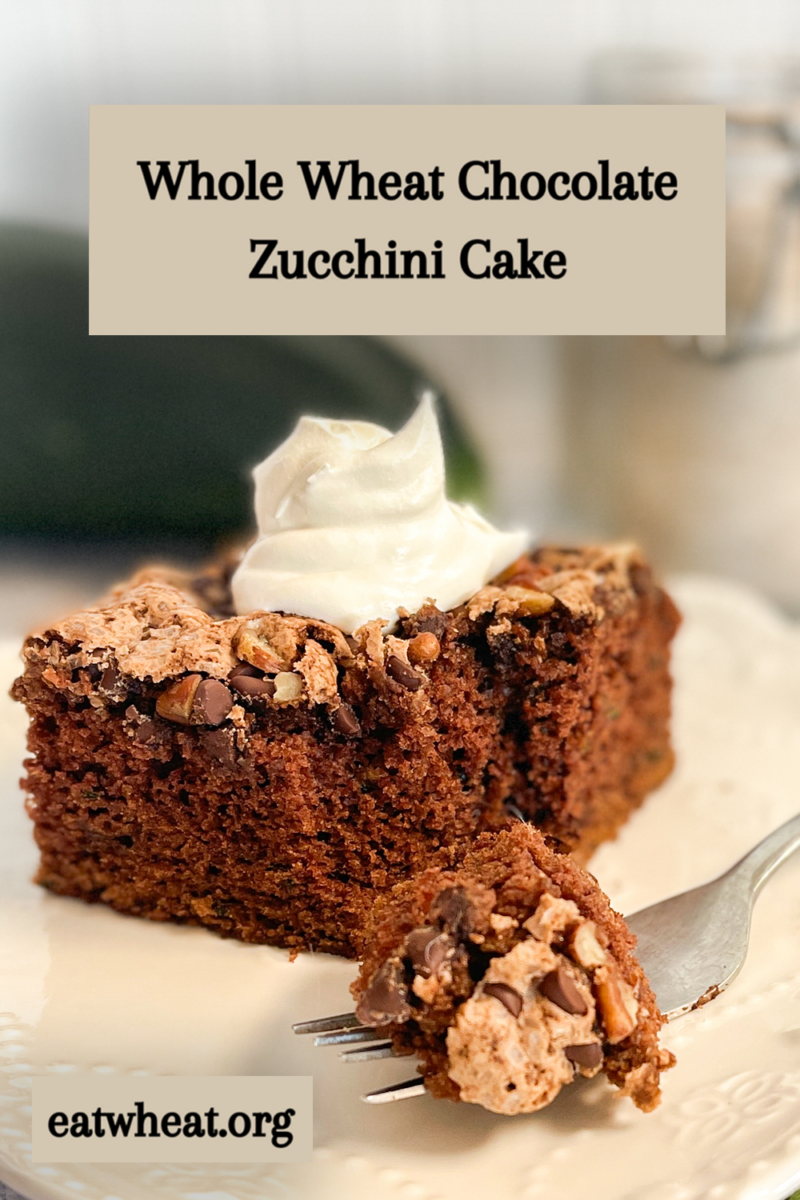 Image: Whole Wheat Chocolate Zucchini Cake.